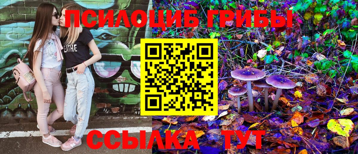 Псилоцибиновые грибы прущие грибы Малоярославец